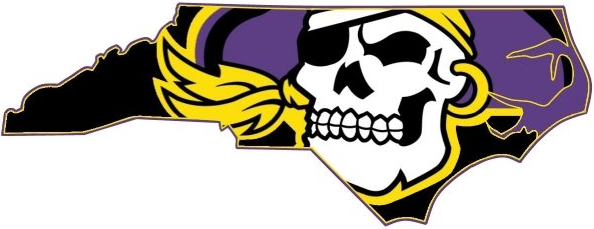 East Carolina Pirates 2004-2013 Alternate Logo DIY iron on transfer (heat transfer)
